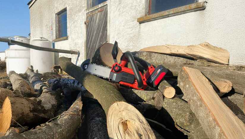 Discover AgriEuro's best deals on Battery-powered Electric Chainsaws for Pruning