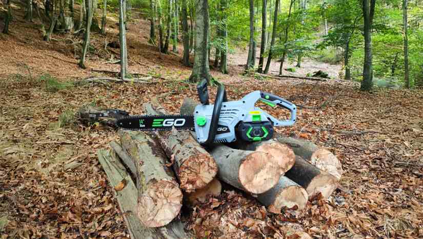 Discover AgriEuro's best deals on Battery-powered Chainsaws