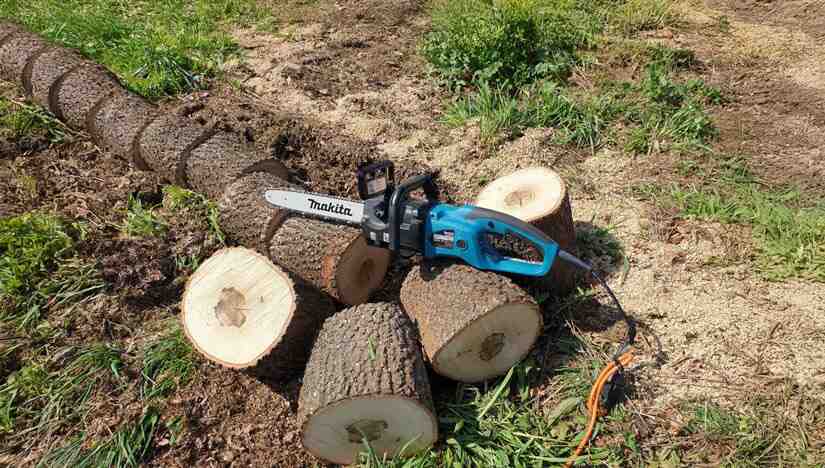 Discover AgriEuro's best deals on Small and Medium Electric Chainsaws 2000 W