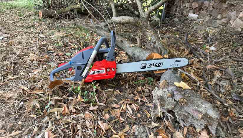 Discover AgriEuro's best deals on Large Heavy-duty Chainsaws for Cutting (50 - 60 cc)