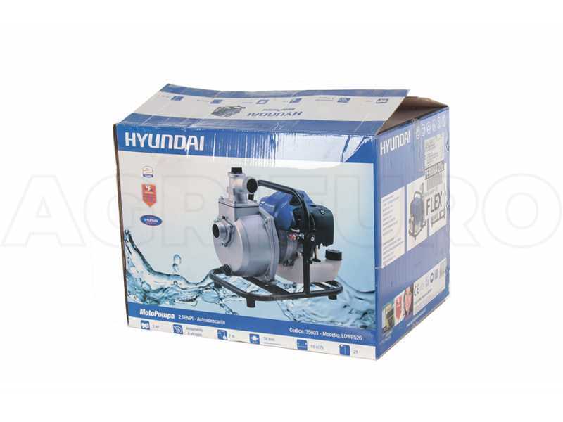 Motopompa irrigazione Hyundai LDWP520 in Offerta